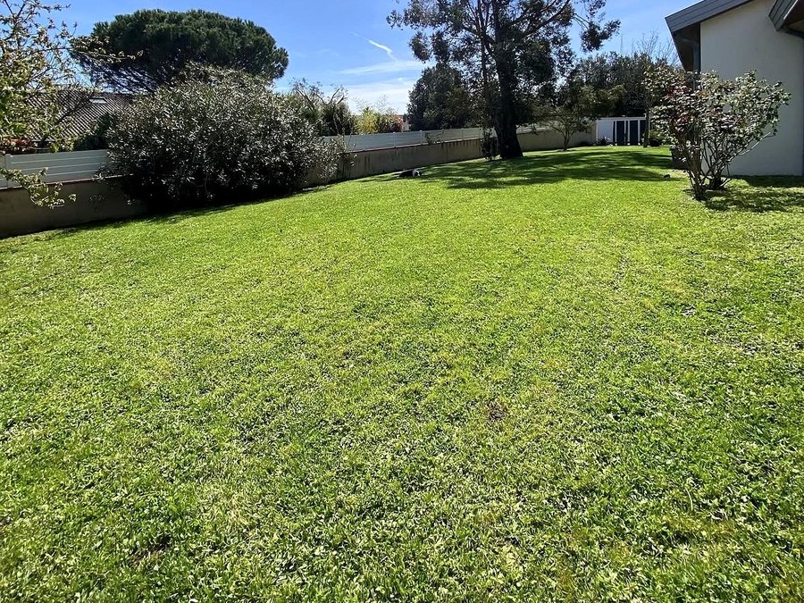 Jardin arboré ensoleillé