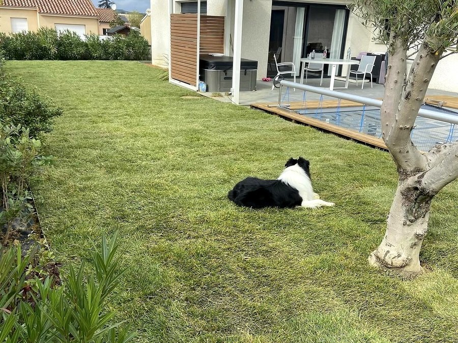 Jardin et terrasse piscine